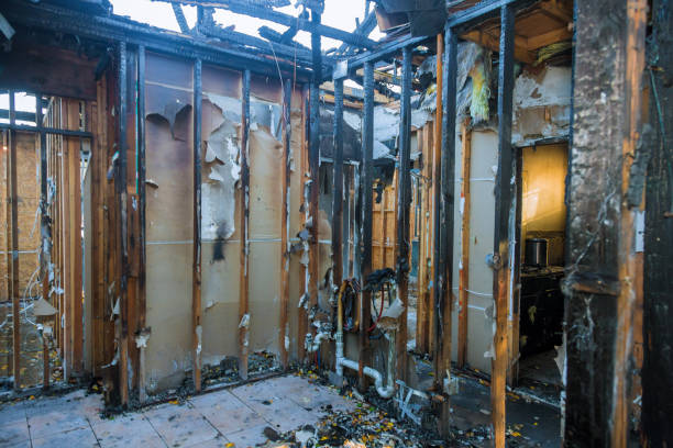 Professional Fire Damage Repair technician working in Aspen, CO